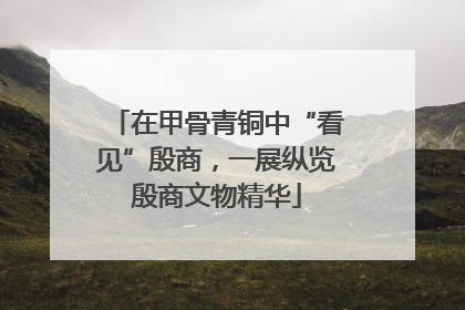 在甲骨青铜中“看见”殷商，一展纵览殷商文物精华
