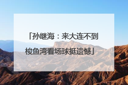 孙继海：来大连不到梭鱼湾看场球挺遗憾