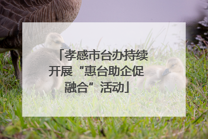 孝感市台办持续开展“惠台助企促融合”活动