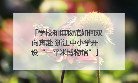 学校和博物馆如何双向奔赴 浙江中小学开设“一平米博物馆”