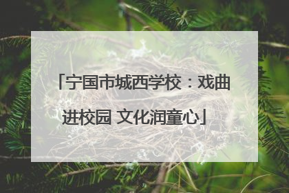 宁国市城西学校：戏曲进校园 文化润童心