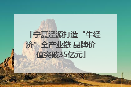 宁夏泾源打造“牛经济”全产业链 品牌价值突破35亿元
