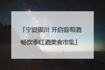 宁夏银川 开启葡萄酒畅饮季红酒美食市集