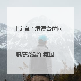 宁夏：港澳台侨同胞感受端午氛围