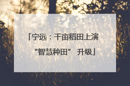 宁远：千亩稻田上演 “智慧种田” 升级