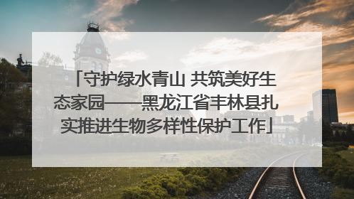 守护绿水青山 共筑美好生态家园——黑龙江省丰林县扎实推进生物多样性保护工作
