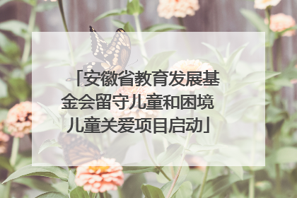 安徽省教育发展基金会留守儿童和困境儿童关爱项目启动
