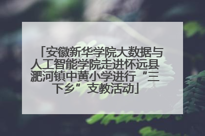安徽新华学院大数据与人工智能学院走进怀远县淝河镇中黄小学进行“三下乡”支教活动