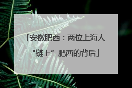 安徽肥西：两位上海人“链上”肥西的背后