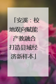 安溪：校地双向赋能 产教融合打造县域经济新样本