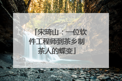 宋琦山：一位软件工程师到茶乡制茶人的蝶变