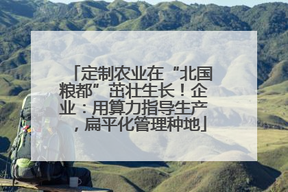 定制农业在“北国粮都”茁壮生长！企业：用算力指导生产，扁平化管理种地