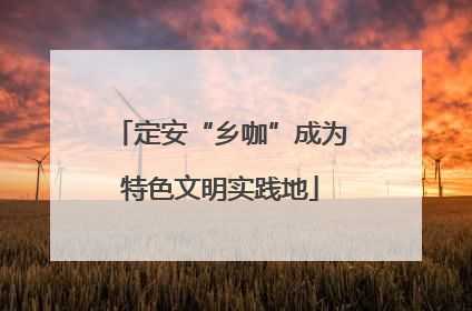 定安“乡咖”成为特色文明实践地