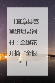 宜章县笆篱镇坦灵祠村：金银花开摘“金银”