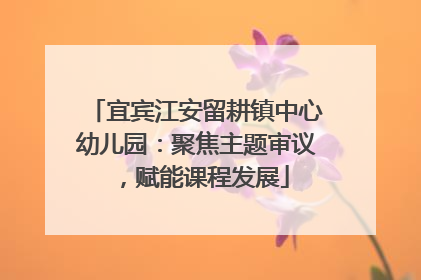 宜宾江安留耕镇中心幼儿园：聚焦主题审议，赋能课程发展