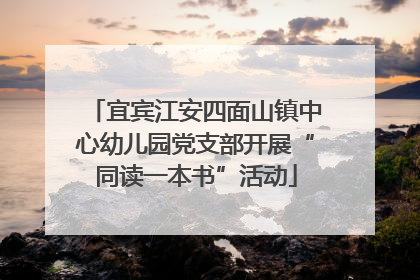 宜宾江安四面山镇中心幼儿园党支部开展“同读一本书”活动