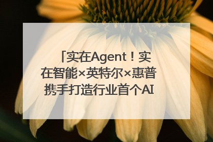 实在Agent！实在智能×英特尔×惠普携手打造行业首个AI PC 智能体