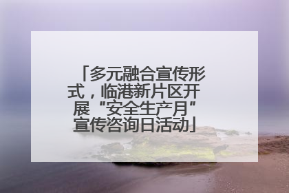 多元融合宣传形式，临港新片区开展“安全生产月”宣传咨询日活动