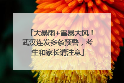 大暴雨+雷暴大风！武汉连发多条预警，考生和家长请注意