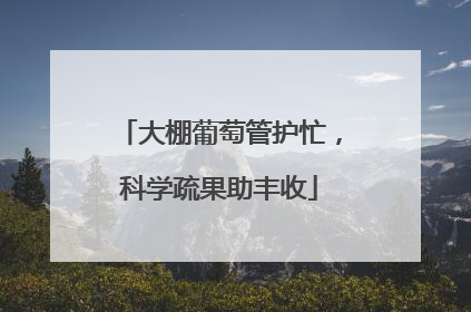 大棚葡萄管护忙，科学疏果助丰收