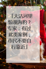 大沽河里惊现海豹？专家：有过此类案例，市民不要自行靠近