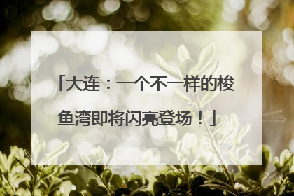 大连：一个不一样的梭鱼湾即将闪亮登场！