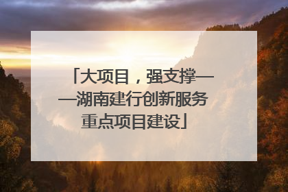大项目，强支撑——湖南建行创新服务重点项目建设
