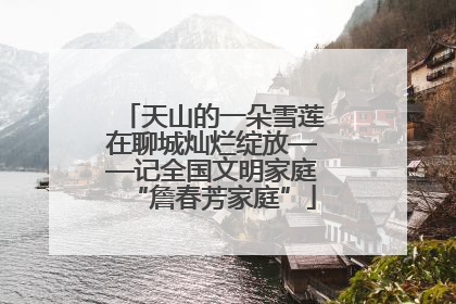 天山的一朵雪莲在聊城灿烂绽放——记全国文明家庭“詹春芳家庭”