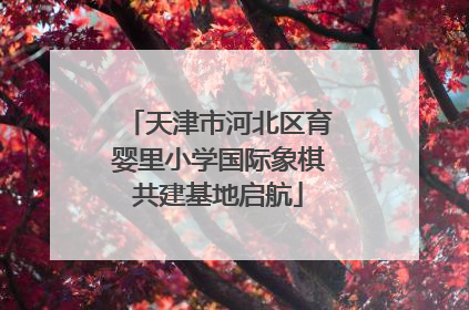 天津市河北区育婴里小学国际象棋共建基地启航