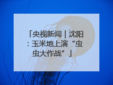 央视新闻｜沈阳：玉米地上演“虫虫大作战”