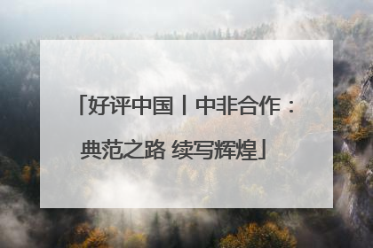 好评中国丨中非合作：典范之路 续写辉煌