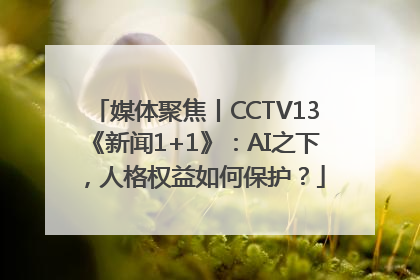 媒体聚焦丨CCTV13《新闻1+1》：AI之下，人格权益如何保护？