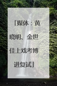 媒体：黄晓明、金世佳上戏考博进复试