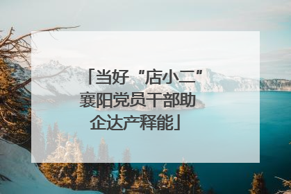 当好“店小二” 襄阳党员干部助企达产释能