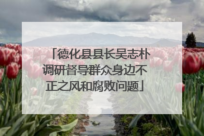 德化县县长吴志朴调研督导群众身边不正之风和腐败问题