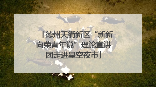 德州天衢新区“新新向荣青年说”理论宣讲团走进星空夜市