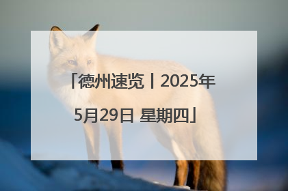 德州速览丨2025年5月29日 星期四