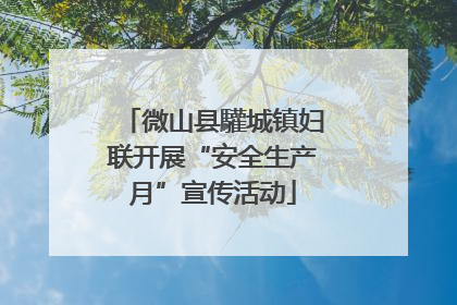 微山县驩城镇妇联开展“安全生产月”宣传活动
