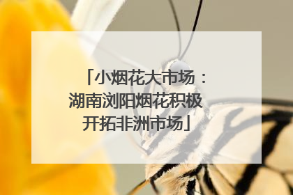 小烟花大市场：湖南浏阳烟花积极开拓非洲市场
