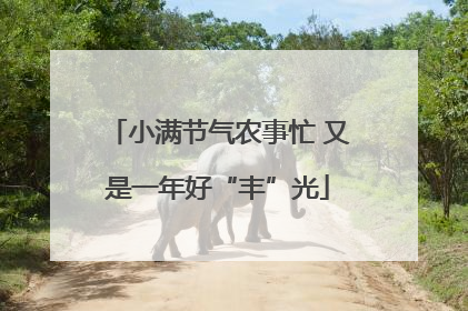 小满节气农事忙 又是一年好“丰”光