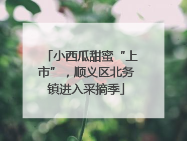 小西瓜甜蜜“上市”，顺义区北务镇进入采摘季