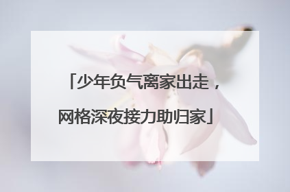 少年负气离家出走，网格深夜接力助归家