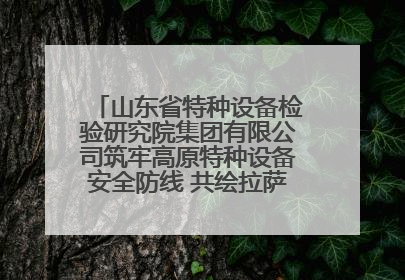 山东省特种设备检验研究院集团有限公司筑牢高原特种设备安全防线 共绘拉萨美好生活画卷