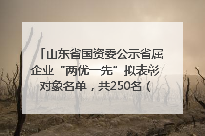 山东省国资委公示省属企业“两优一先”拟表彰对象名单，共250名（个）党员和党组织