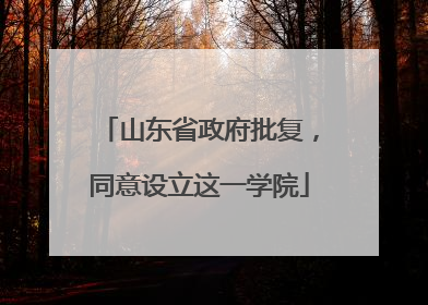 山东省政府批复，同意设立这一学院