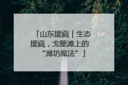 山东援藏｜生态援藏，戈壁滩上的“潍坊魔法”