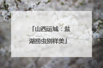 山西运城：盐湖捞虫别样美