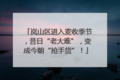 岚山区进入麦收季节，昔日“老大难”，变成今朝“抢手货”！
