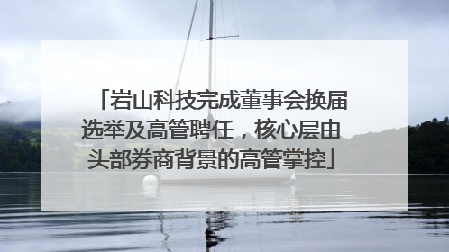 岩山科技完成董事会换届选举及高管聘任，核心层由头部券商背景的高管掌控