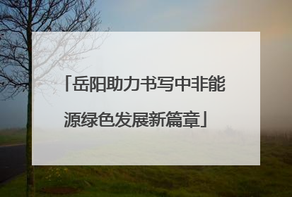 岳阳助力书写中非能源绿色发展新篇章